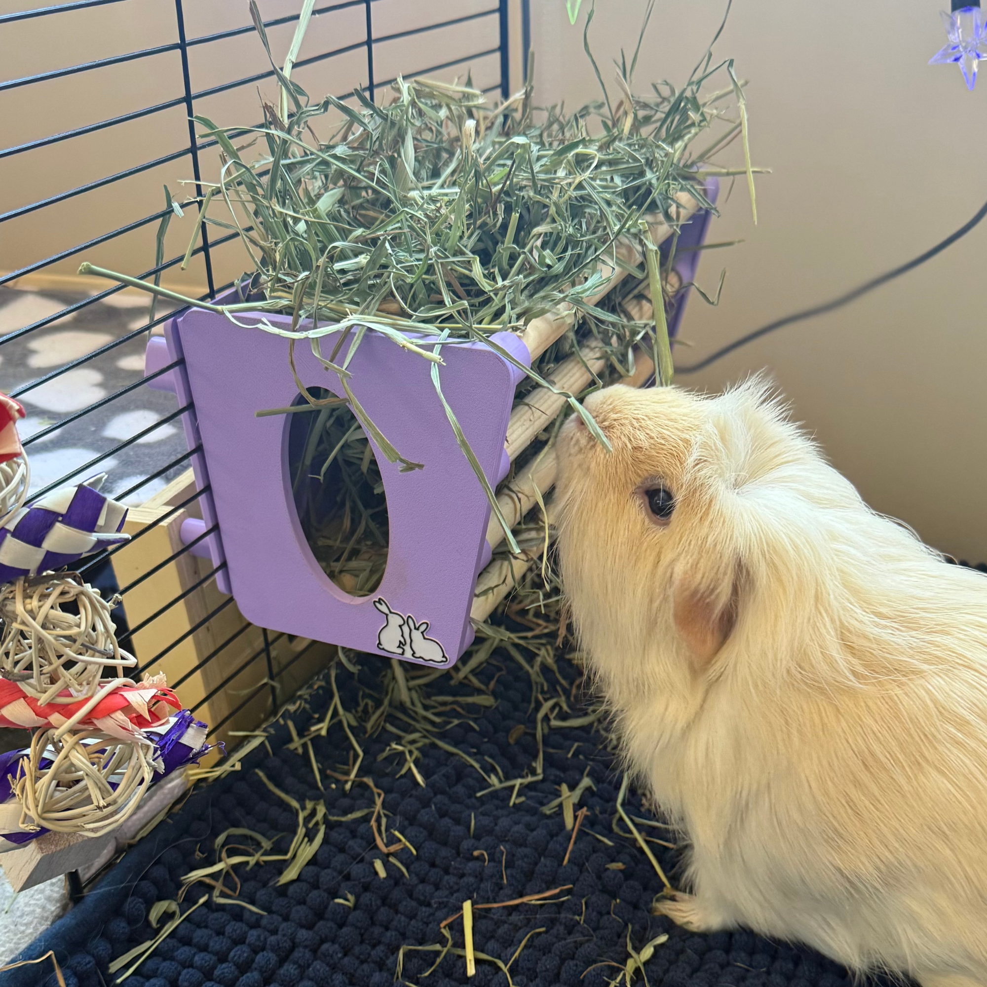 Guinea Pig & Rabbit Hay Rack – Pastel Purple | Made in Britain