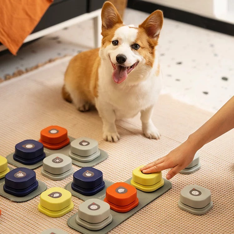 Pet Talk